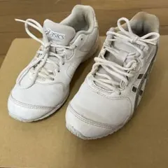 Item thumbnail for item 36d6e630-4e43-4f74-a2df-2688e6b9bd2b