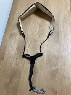 Item thumbnail for item 8f39fb19-8c83-4cf5-9026-947b121b6619