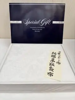 Item thumbnail for item 364417b4-d29e-45af-85a9-cfb01574381f