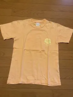 Item thumbnail for item 9464d571-6ea6-41f8-96c9-25a5ea066f5f