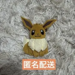 ポケモン イーブイ バッジ