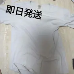 AVIREXティシャツ