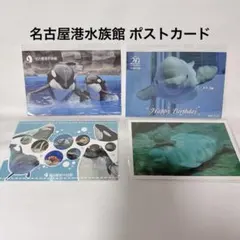 神戸須磨シーワールド コレクションカード イルカSR とシャチ レア 3枚