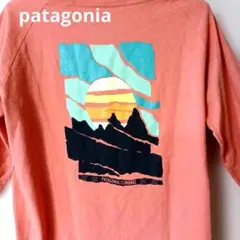 パタゴニア　Patagonia ロングスリーブTシャツ　カットソーのサムネイル
