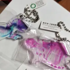 2026年最新】透明標本の人気アイテム - メルカリ