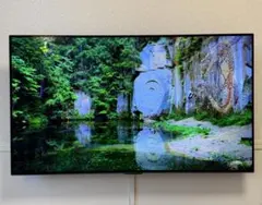 LG 48インチ 有機ELテレビ 4K OLED48C2PJAのサムネイル