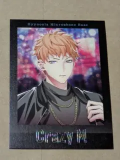 【匿名配送】 ELR 特典 理鶯 缶バッジ 48点 アクブロ 2点 CD 16点 匿名配送】 ELR 特典 理鶯 缶バッジ 48点 アクブロ 2点 CD 16点