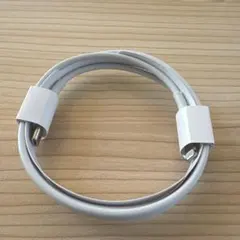 Apple USB-C - Lightningケーブル