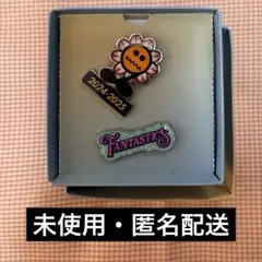 FANTASTICS ピンバッジセット - メルカリ