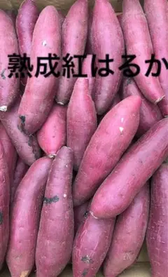 きなこもち(引越し中のため要相談願います様専用です！熊本県熟成紅はるか