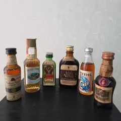 ミニチュアボトル 8本セット ウイスキー ブランデー テキーラ - メルカリ