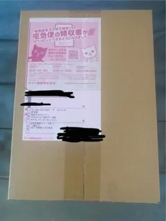 【未開封】MEGAプレミアムトレーナーボックスMEGA（シュリンク付き）