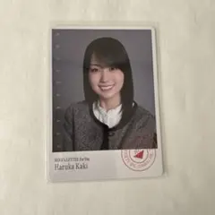 賀喜遥香　フォトカード