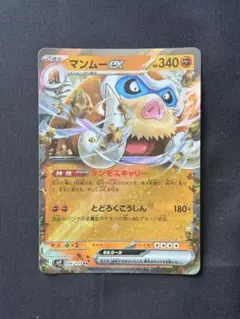 2026年最新】マンムーexの人気アイテム - メルカリ