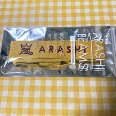 嵐を旅する展覧会 BEAMSコラボ ラゲッジマーク 二宮和也 黄色 - メルカリ