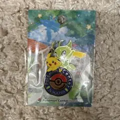 2025年最新】ポケモンセンター 名古屋 ピンズの人気アイテム - メルカリ