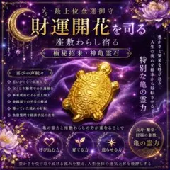2026年最新】チョウピラコ様の人気アイテム - メルカリ