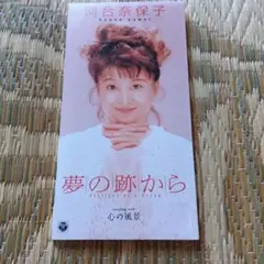 河合奈保子 邦楽