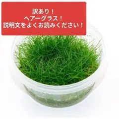 たかたか.com様 リクエスト 2点 まとめ商品
