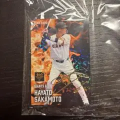 2025年最新】坂本 サイン bbmの人気アイテム - メルカリ