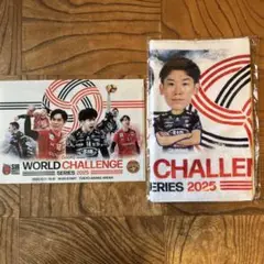WORLD CHALLENGE SERIES 2025 タオル➕クリアファイル