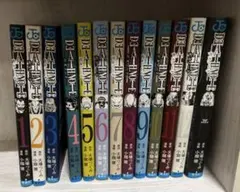 DEATHNOTE デスノート 全巻セット ＋13