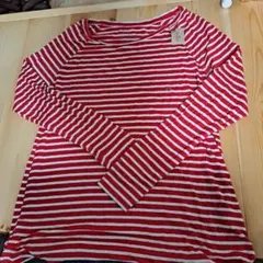 American Eagle Soft & Sexy ロングTシャツ