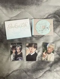 &team HARUA Back to Life セット