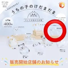 【新品】 うちの子のけだまだま 犬のけだまだま 三角たれみみ