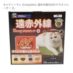 Item thumbnail for item b89035bf-8b9a-42fe-b1f1-dc0bafdffe08