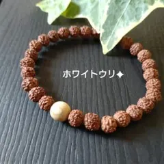 新品未使用 バリ島 シワ ルドラクシャ ブレスレット 天然石 - メルカリ