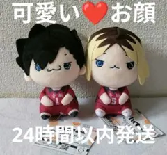 ハイキュー もちぴこ 孤爪研磨 黒尾鉄朗 ぬいぐるみ 2点セット