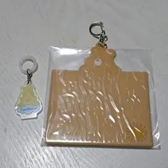 ケアベア ネームプレート めじるしチャーム ファンシャインベア セット