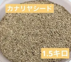 Item thumbnail for item 1fd3ed9b-2361-4655-a9f4-c1db198bc895