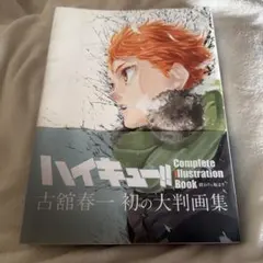 ハイキュー!! Complete Illustration Book 大版画集