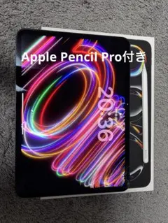 iPad Pro M4 11インチ　Wi-Fi+Cellularモデル