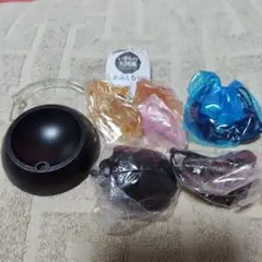 いきもの大図鑑　かぶとむし01　ヘラクレス(黒)
