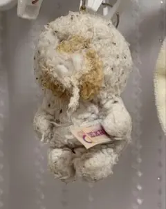 nici ぬいぐるみキーホルダー ビションフリーゼ