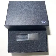 Technics テクニクス USBメモリ 8GB