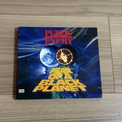 USオリジナル盤 / MASTERDISK DMM刻印 Public Enemy - メルカリ