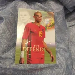 2011 FUTERA UNIQUE 043 ぺぺ 8ポルトガル代表