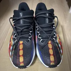 ナイキ ペガサス 26