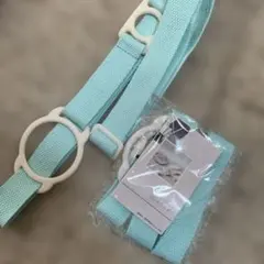 Item thumbnail for item 2213e997-0033-4861-a40b-6bb7360a9e87