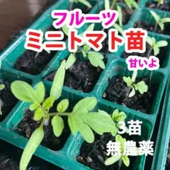 mao様 リクエスト 3点 まとめ商品