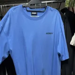 Item thumbnail for item 4d2f5614-2d7f-4a74-bf6e-47b945d30d82