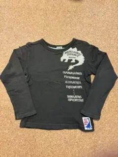 Item thumbnail for item 8200324d-2a1c-4555-bd04-c6d1bf0d1361