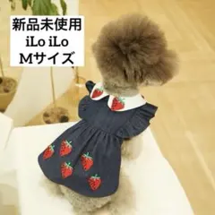 Item thumbnail for item 87599a24-8ed9-4a95-aafe-54b8b200a9ea