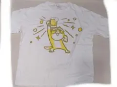 Item thumbnail for item a7a705a6-5222-47b1-a97e-3f8168c3e4e4