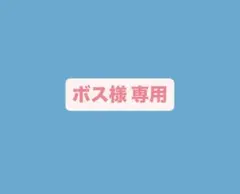 ツルヤ かりんとうセット りんご×2 レモンかりんとう×2袋セット