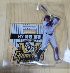 阪神タイガース